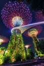 Gardens by the Bay with the Supertrees at twilight portrait format in Singapore