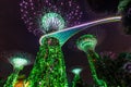 Gardens by the Bay with the Supertrees at twilight in Singapore Royalty Free Stock Photo