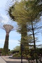 Gardens by the Bay - Supertrees - Singapore tourism - Singapore travevl diaries Royalty Free Stock Photo