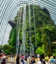 Gardens by the Bay urban nature park in Singapore Marina Bay