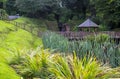 The Gardens at Beech Hill Country House Hotel in Londonderry Royalty Free Stock Photo