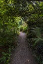 Gardens at Blarney Castle