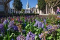 Gardens in bloom, in the `Topkapi` palace Royalty Free Stock Photo