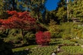 Gardens of Butchart in Victoria BC Canada, scenic view of colorful flowers blooming Royalty Free Stock Photo