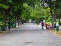 Cape Town Gardens pathway on a quiet afternoon.