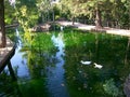 Gardens-CARMEN DE LOS MARTIRES-Granada-ANDALUSIA-SPAIN Royalty Free Stock Photo