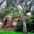 Gardens Eltham Palace historic medieval