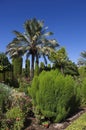 Gardens and fountains of the Alcazar de los Reyes CatÃÂ³licos Royalty Free Stock Photo