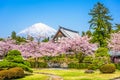 Gardens and Fuji Royalty Free Stock Photo