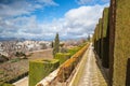 Gardens in Granada in winter