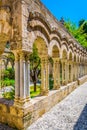 Gardens in the grounds of Church of St. John of the Hermits in Palermo, Sicily, Italy