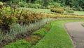 Colorful display of Coleus in a curved flower border in Botanical Garden of Peradeniya, Kandy Sri Lanka