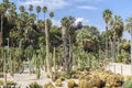 Gardens, jardins Mossen Costa i LLobera, specialized in cactus,