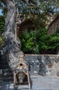 Gardens in Kashan Royalty Free Stock Photo