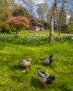 Gardens at Leeds Castle in Kent, UK Royalty Free Stock Photo