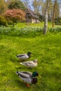 Gardens at Leeds Castle in Kent, UK Royalty Free Stock Photo