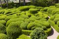 Gardens of Marqueyssac, Vezac Royalty Free Stock Photo