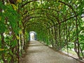 Gardens with maze of Schoenbrunn or Schonbrunn Palace SchÃÂ¶nbrunner Schlosspark, Wien  - Vienna, Austria Royalty Free Stock Photo