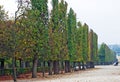 Gardens with maze of Schoenbrunn or Schonbrunn Palace SchÃÂ¶nbrunner Schlosspark, Wien - Vienna, Austria