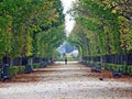 Gardens with maze of Schoenbrunn or Schonbrunn Palace SchÃÂ¶nbrunner Schlosspark, Wien  - Vienna, Austria Royalty Free Stock Photo