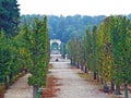 Gardens with maze of Schoenbrunn or Schonbrunn Palace SchÃÂ¶nbrunner Schlosspark, Wien - Vienna, Austria