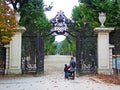 Gardens with maze of Schoenbrunn or Schonbrunn Palace SchÃÂ¶nbrunner Schlosspark, Wien - Vienna, Austria