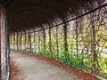 Gardens with maze of Schoenbrunn or Schonbrunn Palace SchÃÂ¶nbrunner Schlosspark, Wien  - Vienna, Austria Royalty Free Stock Photo