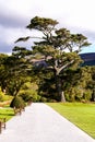 Gardens Muckross Killarney National Park, Ireland Royalty Free Stock Photo