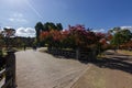 Gardens of Nara near Kyoto Japan