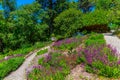 Gardens of the national palace of Pena, Sintra, Portugal Royalty Free Stock Photo