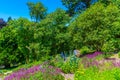 Gardens of the national palace of Pena, Sintra, Portugal Royalty Free Stock Photo