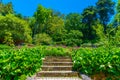 Gardens of the national palace of Pena, Sintra, Portugal Royalty Free Stock Photo