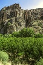 Gardens with peach trees at the foot of the basalt rocks on the road leading to the city of Yeghegnadzor in Armenia Royalty Free Stock Photo
