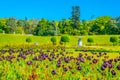 Gardens of the Powerscourt estate in Ireland