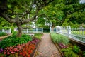 Gardens at Prescott Park, in Portsmouth, New Hampshire.