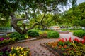 Gardens at Prescott Park, in Portsmouth, New Hampshire.