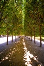 The gardens and promenades at the Royal Palace in Paris