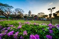 Gardens at Rizal Park, in Ermita, Manila, The Philippines.