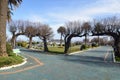 gardens on the seafront in Santander, Cantabria Royalty Free Stock Photo