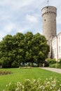 Gardens by Tall Hermann Tower