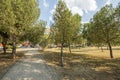 Gardens with trees in an urban park with concrete and sand walkways and clear winter skies and in the background a street with