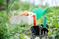 Gardentools Royalty Free Stock Photo