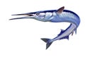 Garfish or Beakfish or Needlefishin motion jumps out of the water. Royalty Free Stock Photo