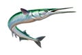 Garfish or Beakfish or Needlefishin motion jumps out of the water. Royalty Free Stock Photo