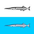 Garfish illustration isolated on white background. Royalty Free Stock Photo