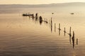 At sunset a motorboat between poles and nets for the farming of mussels and eels in lake Varano. Gargano promontory