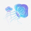 Detailed transparent glowing jellyfish. Purple blue sea jelly on white background. Hand draw brush paint. Raster copy illustration