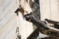 Gargouilles of Palais de Justice of Rouen. France.