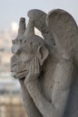 Gargoyle Royalty Free Stock Photo