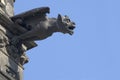 Gargoyle Royalty Free Stock Photo